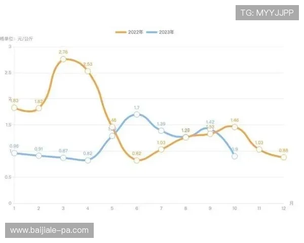 近期白菜价格行情分析及市场趋势预测